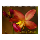 Suche nach orchidee kalender Jede person