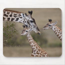 Suche nach lebensraum mousepads Familie