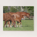 Suche nach kastanie puzzle Bob sprache