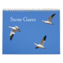 Suche nach gänse kalender Wild lebende tiere