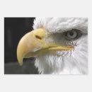 Suche nach raubvögel geschenkpapier Tierwelt