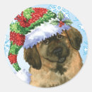 Suche nach leonberger aufkleber Zitronenpresse