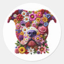 Suche nach pitbull aufkleber Grube
