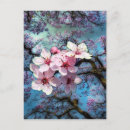 Suche nach jacaranda postkarten Frühling