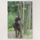 Suche nach niedlicher elefant puzzle Jede person