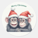 Suche nach weihnachtsaffe Jede person
