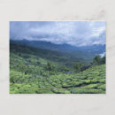 Suche nach kerala postkarten Plantage