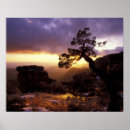 Suche nach südwestlich poster Natur