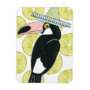 Suche nach sombrero magnete South america