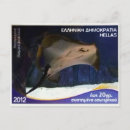 Suche nach stingray postkarten Tauchen