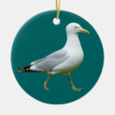 Suche nach möve ornamente Vogel