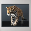 Suche nach jaguar poster Natur