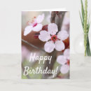 Suche nach japanische geburtstag karten Fotografie
