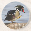 Suche nach baumstamm untersetzer Vogel