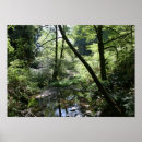 Suche nach grüner frieden poster Wald