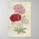 Suche nach sorten poster Für alle