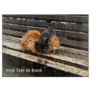 Suche nach katze schneidebrettchen Jede person