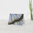 Suche nach finke karten Natur