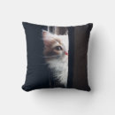 Suche nach sneaky Kitty