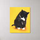 Suche nach tatze leinwandbilder Hauskatze