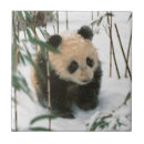 Suche nach panda fliesen Baby