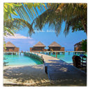 Suche nach malediven fliesen Tropisch