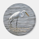 Suche nach wildlife magnete Foto