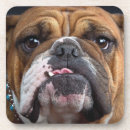 Suche nach lustige bulldoggen untersetzer Hund