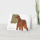 Suche nach irish setter karten Hund