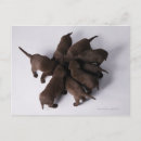 Suche nach zusammenarbeit postkarten Teamwork