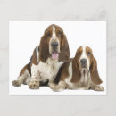 Suche nach bassett karten Welpen