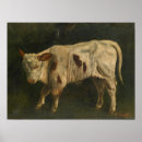 Suche nach kälber poster Kalb