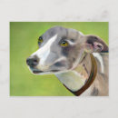 Suche nach whippet postkarten Sehenswürdigkeit