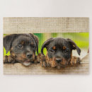 Suche nach lustiger hund puzzle Jede person