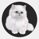 Suche nach persische katze aufkleber Weiß