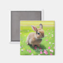 Suche nach blumenwiese magnete Osterhase