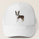 Suche nach blind kappen Hund