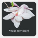 Suche nach magnolie aufkleber Rosa