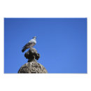 Suche nach seegras poster Natur