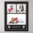 Suche nach paw poster Für haustiere