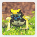 Suche nach giftig aufkleber Amphibisch