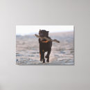 Suche nach vitalität kunst Horizontal