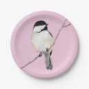 Suche nach chickadee Natur