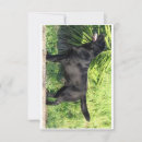 Suche nach schwarzer labrador retriever welpe karten Niedlich