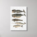 Suche nach fünf leinwandbilder Antik