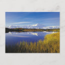 Suche nach mt mckinley postkarten Natur