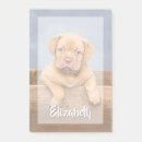 Suche nach foto post it Niedlich