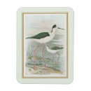 Suche nach auf dem wasser magnete Natur