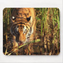 Suche nach bengalische tiger mousepads Natur