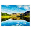 Suche nach nadelbäume poster Landschaft